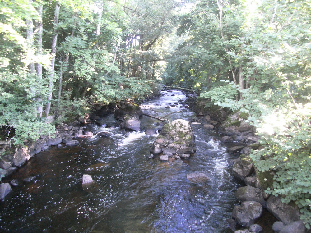 Beekje bij &Ouml;stafors