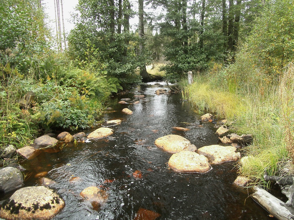 D&ouml;vab&auml;ck bij Brammarp