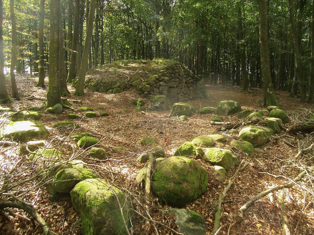Sauna voor het drogen van vlas