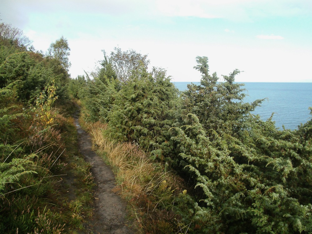 Pad langs het Kattegat